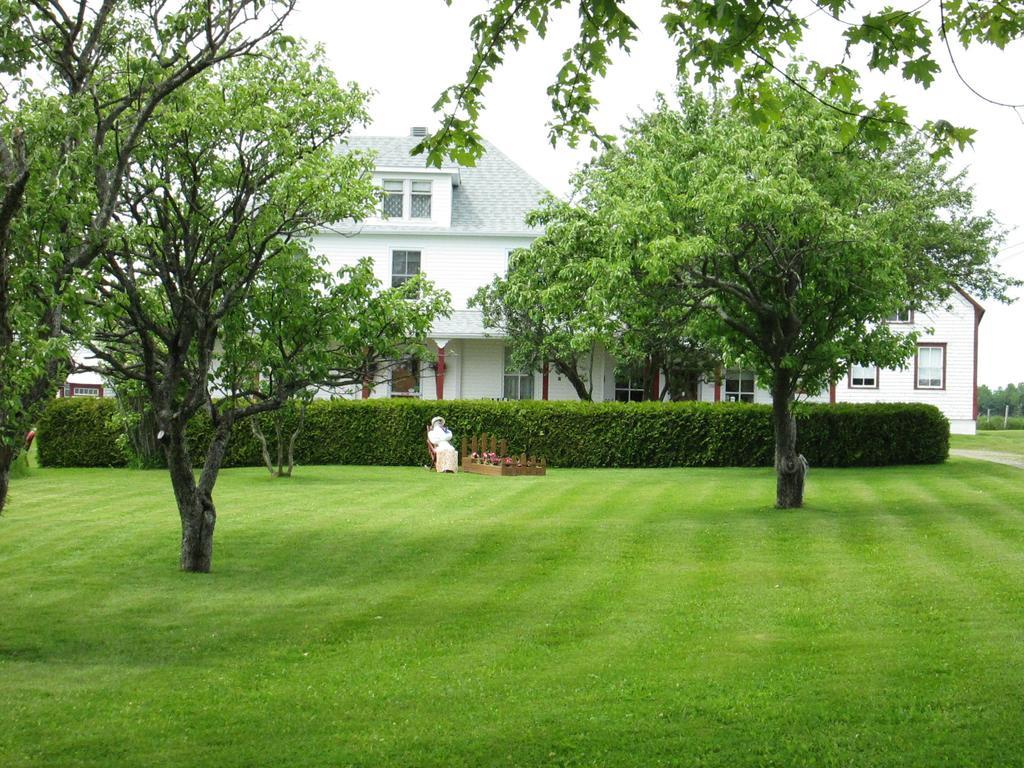 Gite Les Acres Tranquilles B&B Port-Daniel Exteriör bild