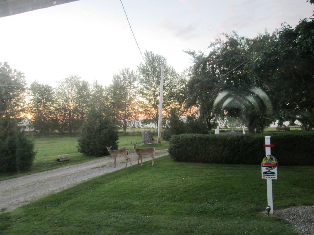 Gite Les Acres Tranquilles B&B Port-Daniel Exteriör bild